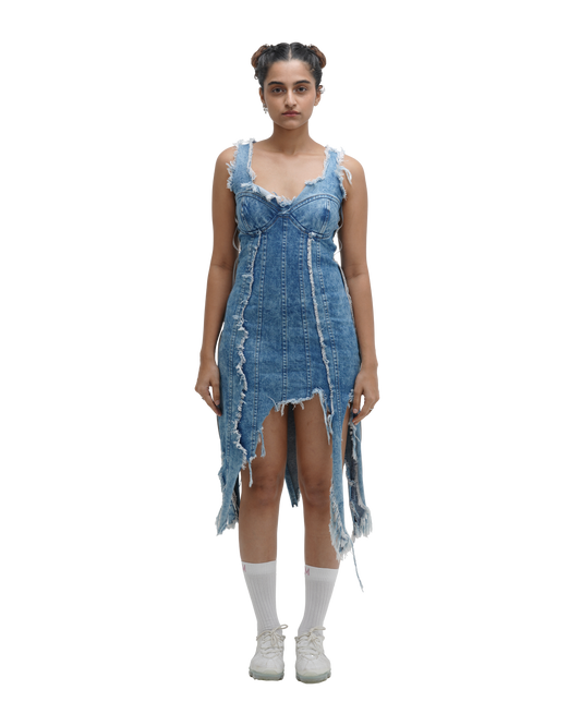 FRAY DAY DRESS