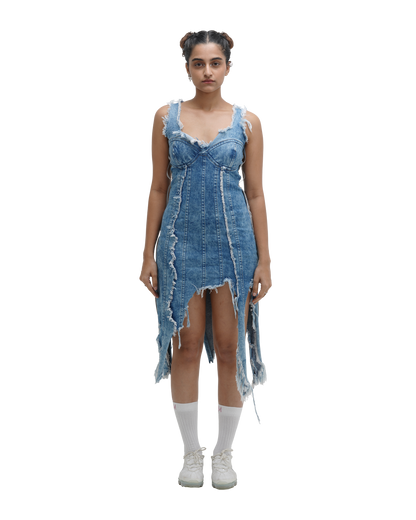 FRAY DAY DRESS